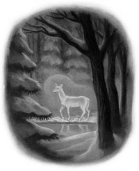 DH19: The Silver Doe DH19: The Silver Doe