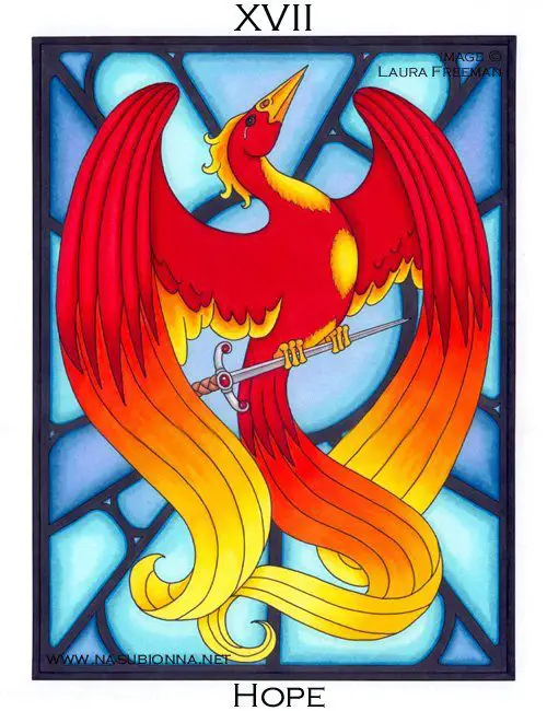 Harry Potter Tarot: The Star