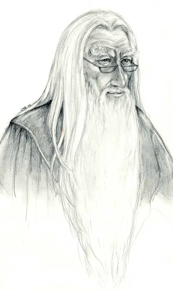 Headmaster Dumbledore - Harry Potter Lexicon.