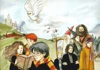 Which is the Most Popular Harry Potter Novel?