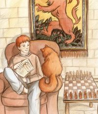 Pets at Hogwarts