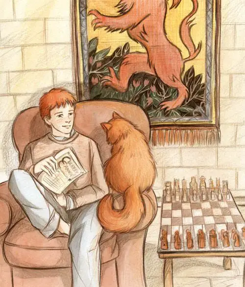 Ron and Crookshanks