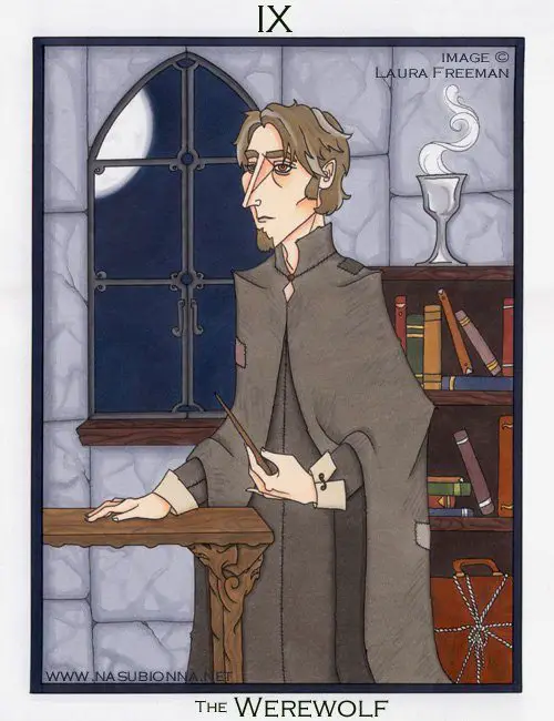 Remus Lupin (DADA)