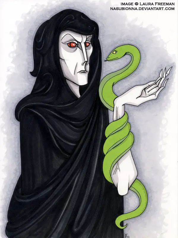 voldemort_by_nasubionna-d7rb3ue