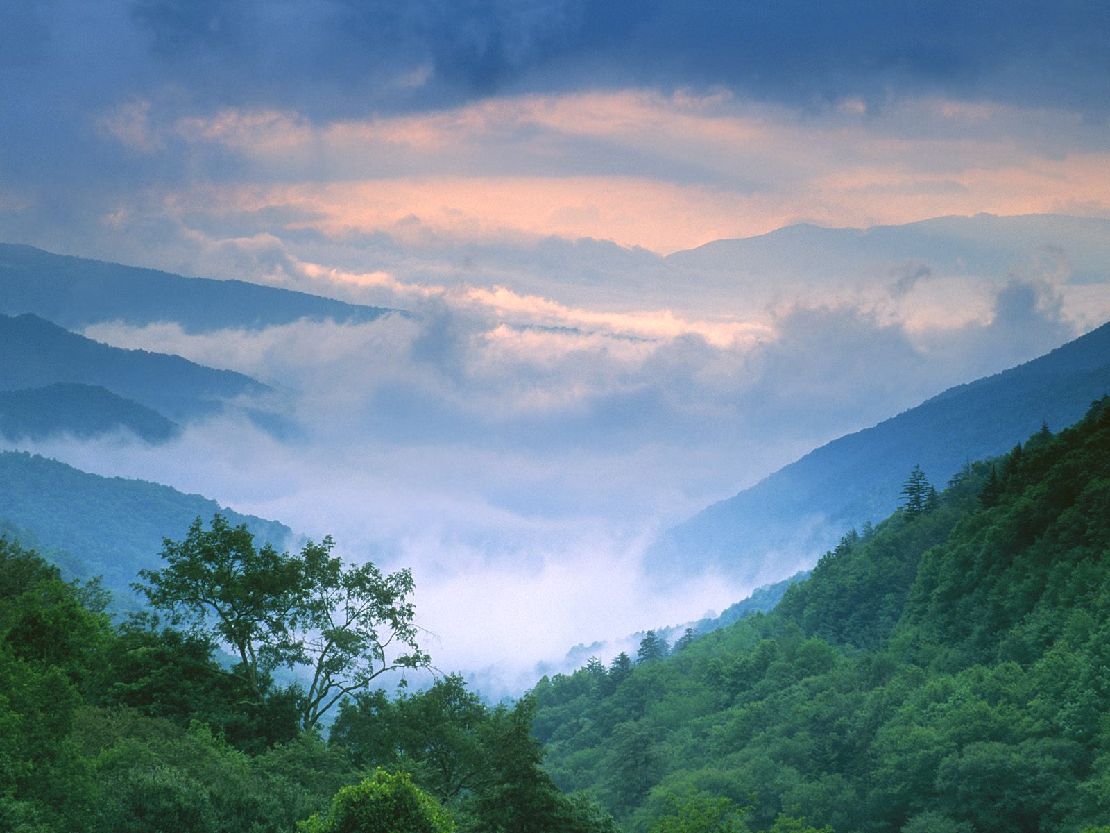 Summer Storm Approaching, Newfound Gap, Smoky Mountains