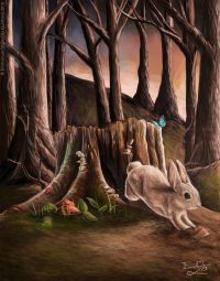 rabbit rabbit