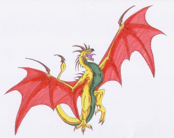 Colorful Wyvern