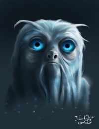 Dougal Dougal