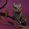 Pottermore Countdown Owls 2