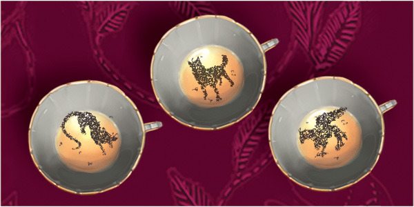 Pottermore – Divination – Tea Leaves – Grim Pottermore – Divination – Tea Leaves – Grim