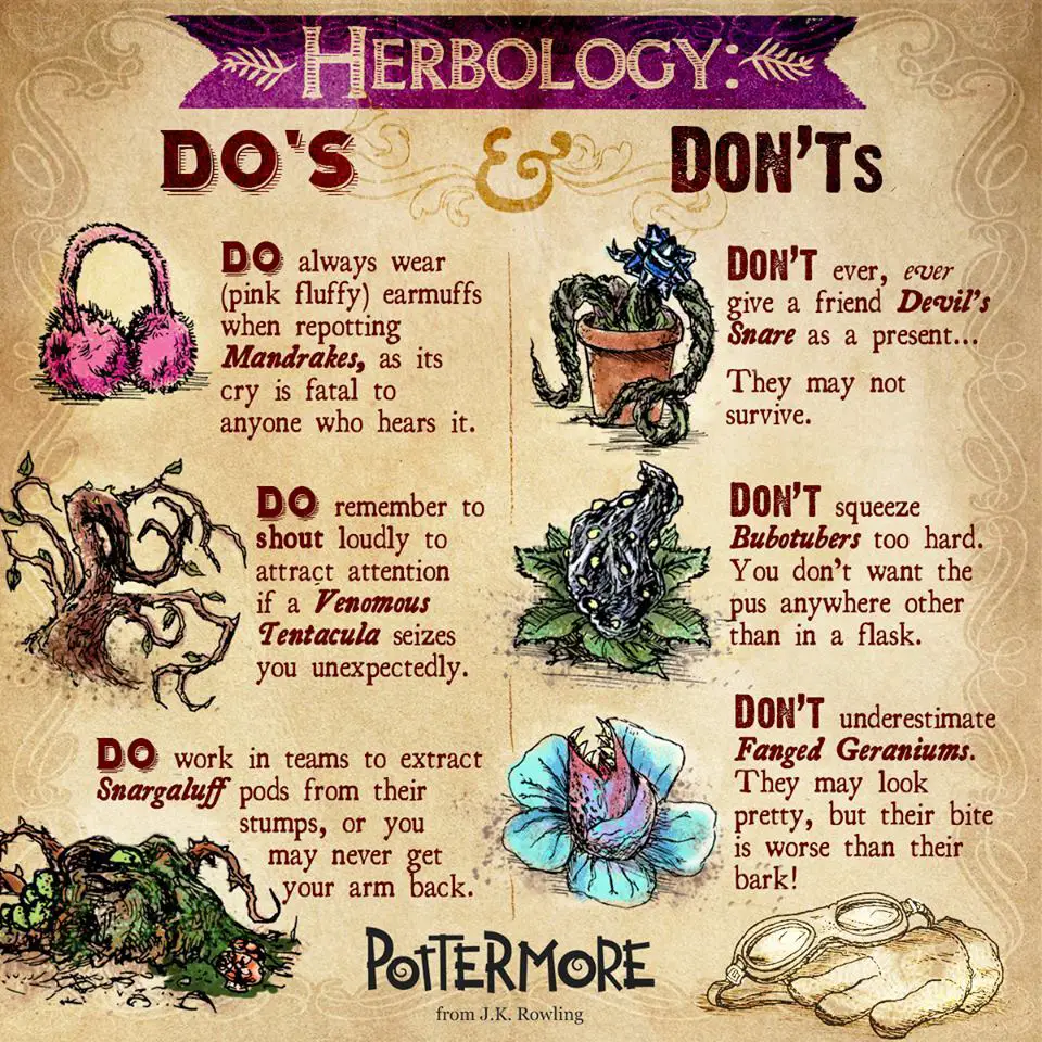 Pottermore Herbology Rules Dos and Donts
