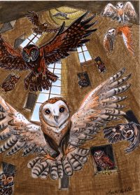 Owlery