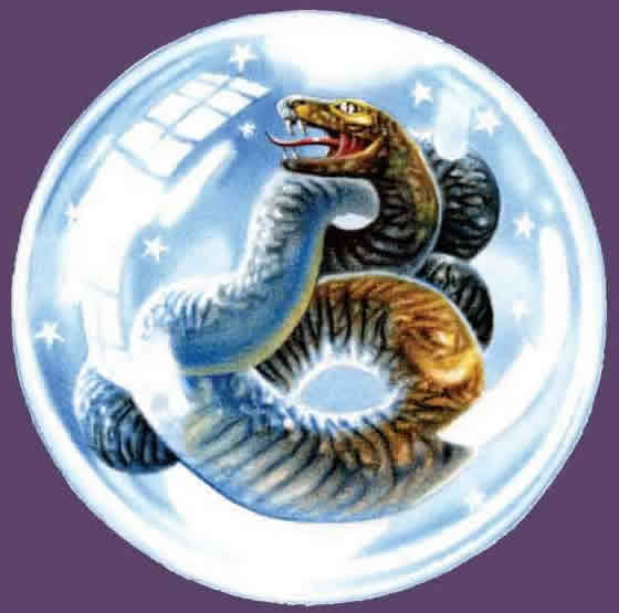 dhuk-detail-snakeinball