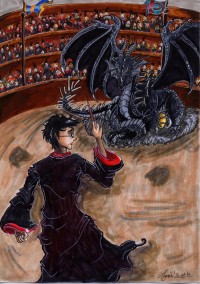 The First Task of the Triwizard Tournament The First Task of the Triwizard Tournament