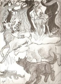 Animagus Animagus