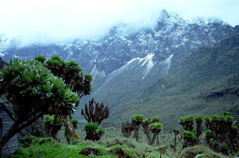 Ruwenzori mountains