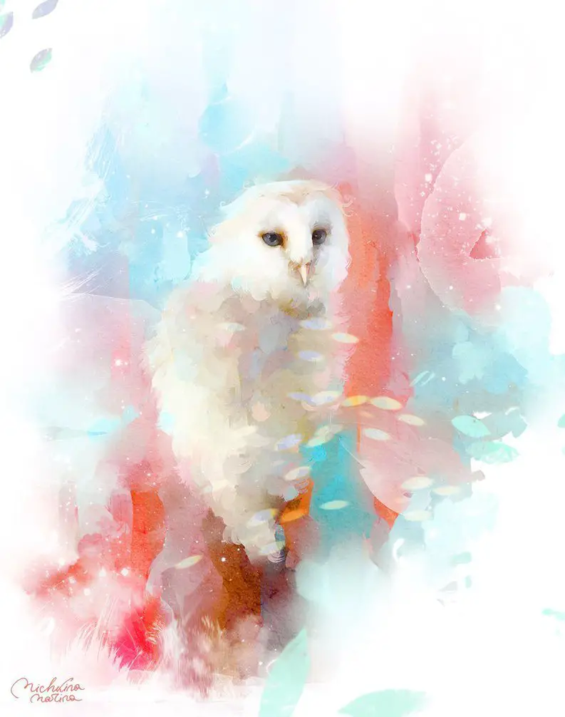 Owl