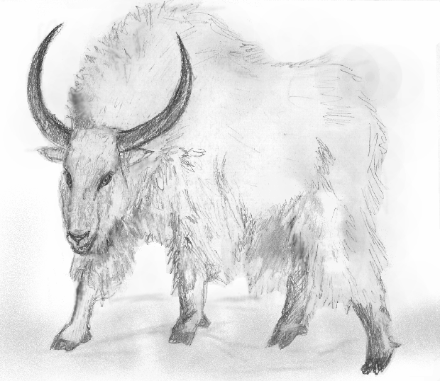 A rabid Graphorn A rabid Graphorn