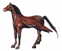 Aethonan horse