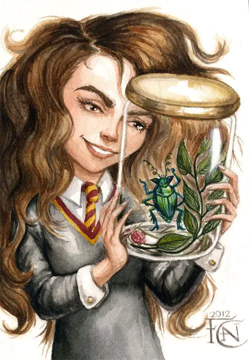 Hermione Granger Quote on a Copper Bookmark 'just