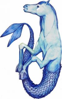 Hippocampus Hippocampus