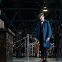 Newt Scamander’s case