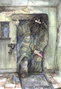 Just after midnight, Hagrid arrives at the hut-on-the-rock