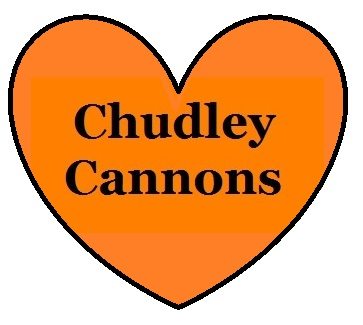 fan of Chudley Cannons