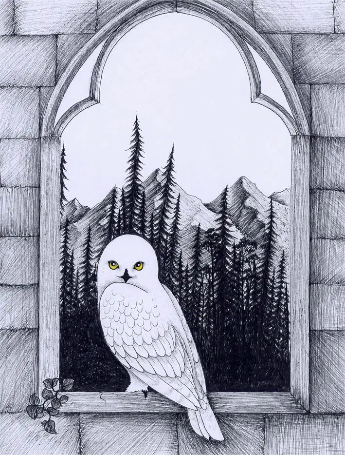 I solemnly swear with owl, Harry Potter and the Deathly Hallows Hedwig  Drawing, flying owl, vertebrate, owl png | PNGEgg