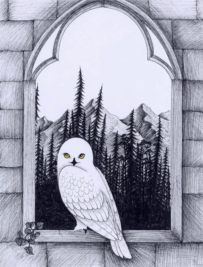 Hedwig