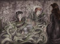 Harry and Ron are rescued from Devil’s Snare by Hermione