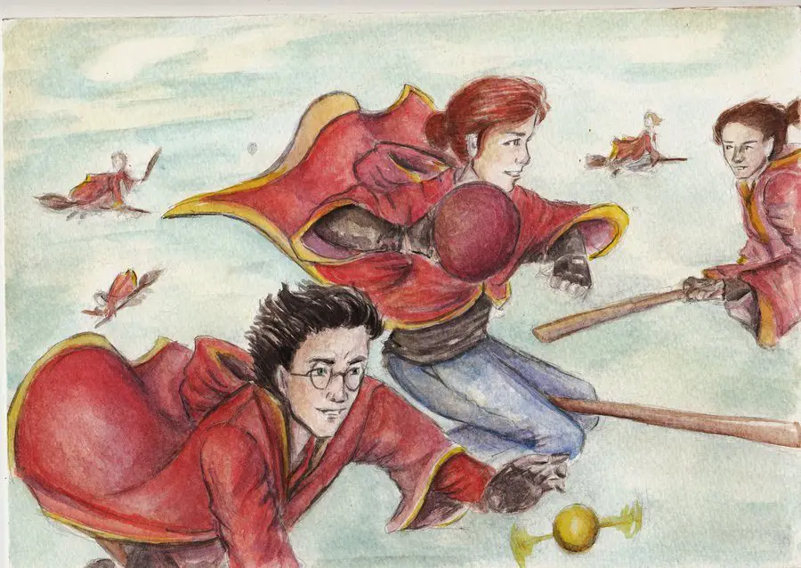 Quidditch Practise