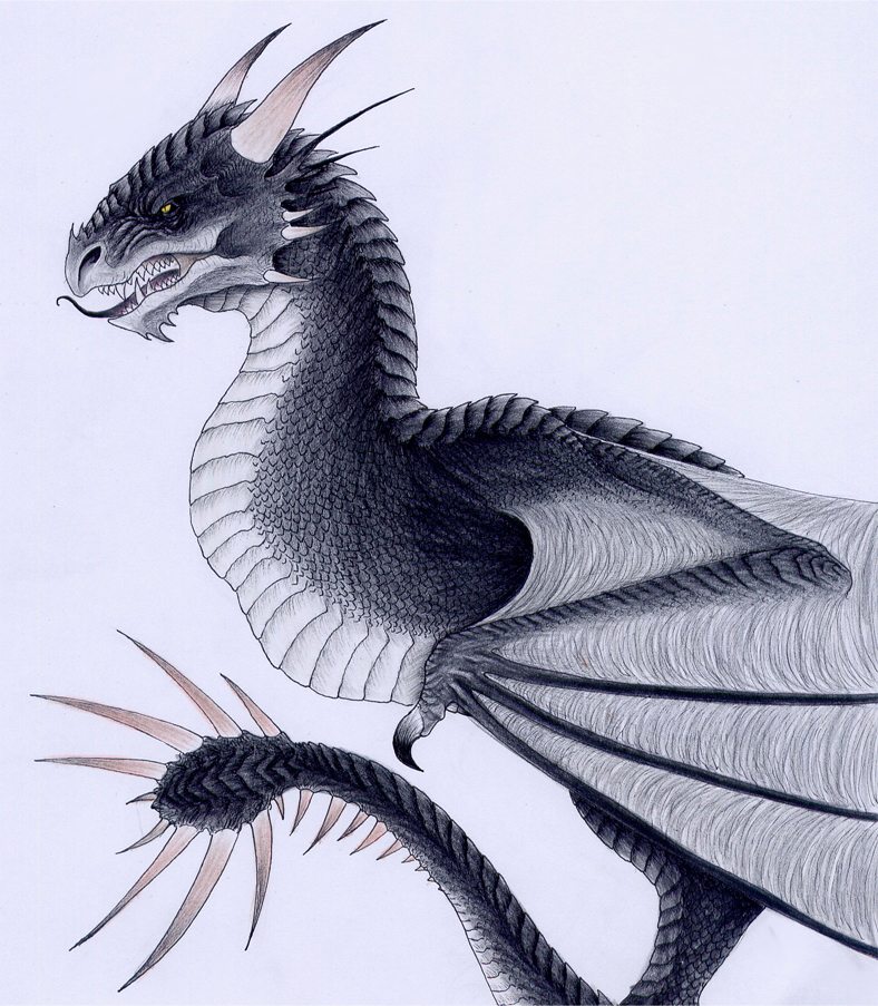 The Hungarian Horntail