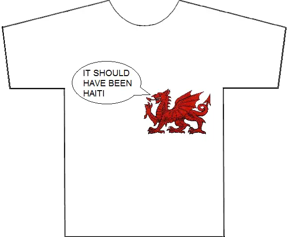 Quidditch World Cup 2014 Gwenog Jones’s t-shirt (4 June 2014)