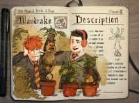 Mandrake, or Mandragora