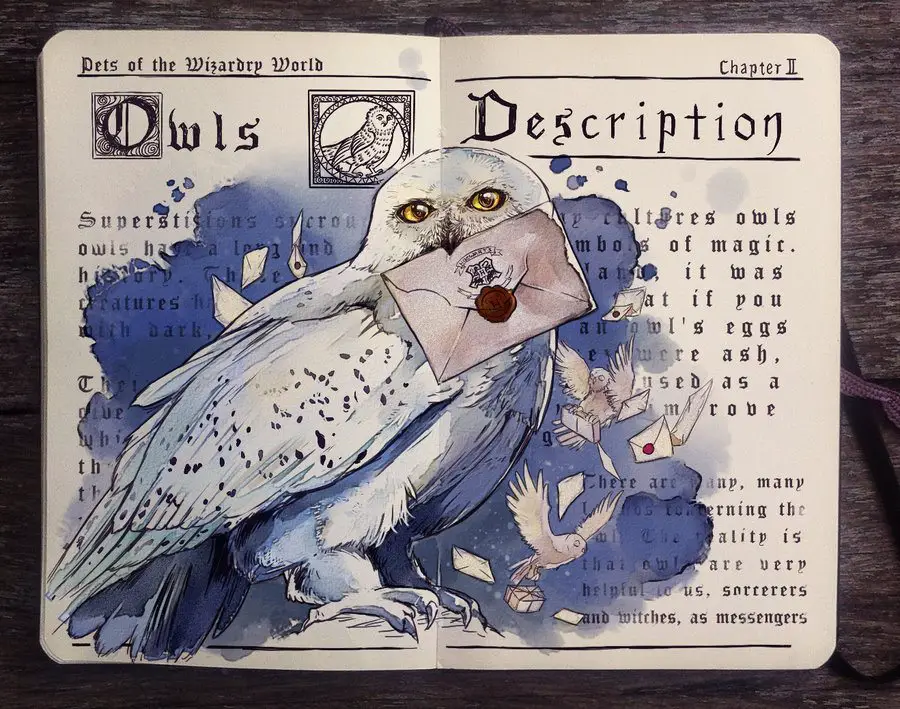 Pets of the Wizarding World: Owls