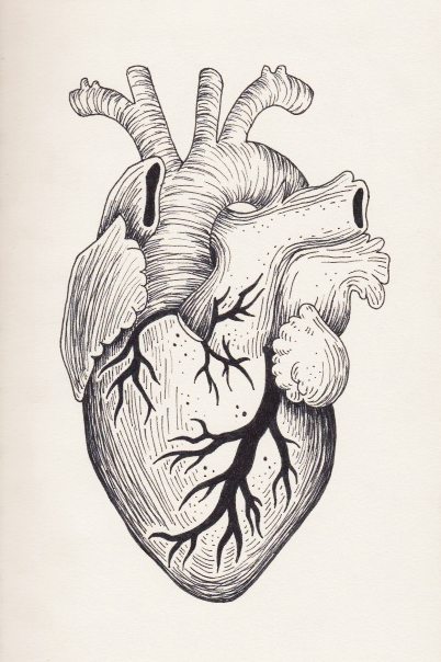 Heart Heart
