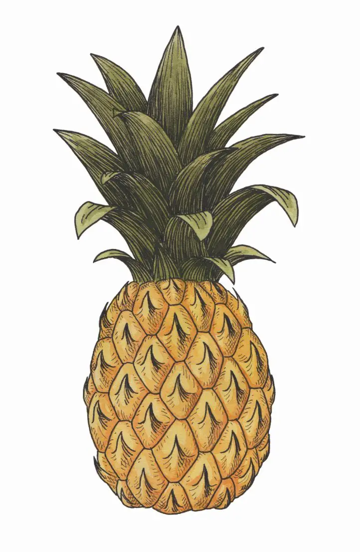 Pineapple