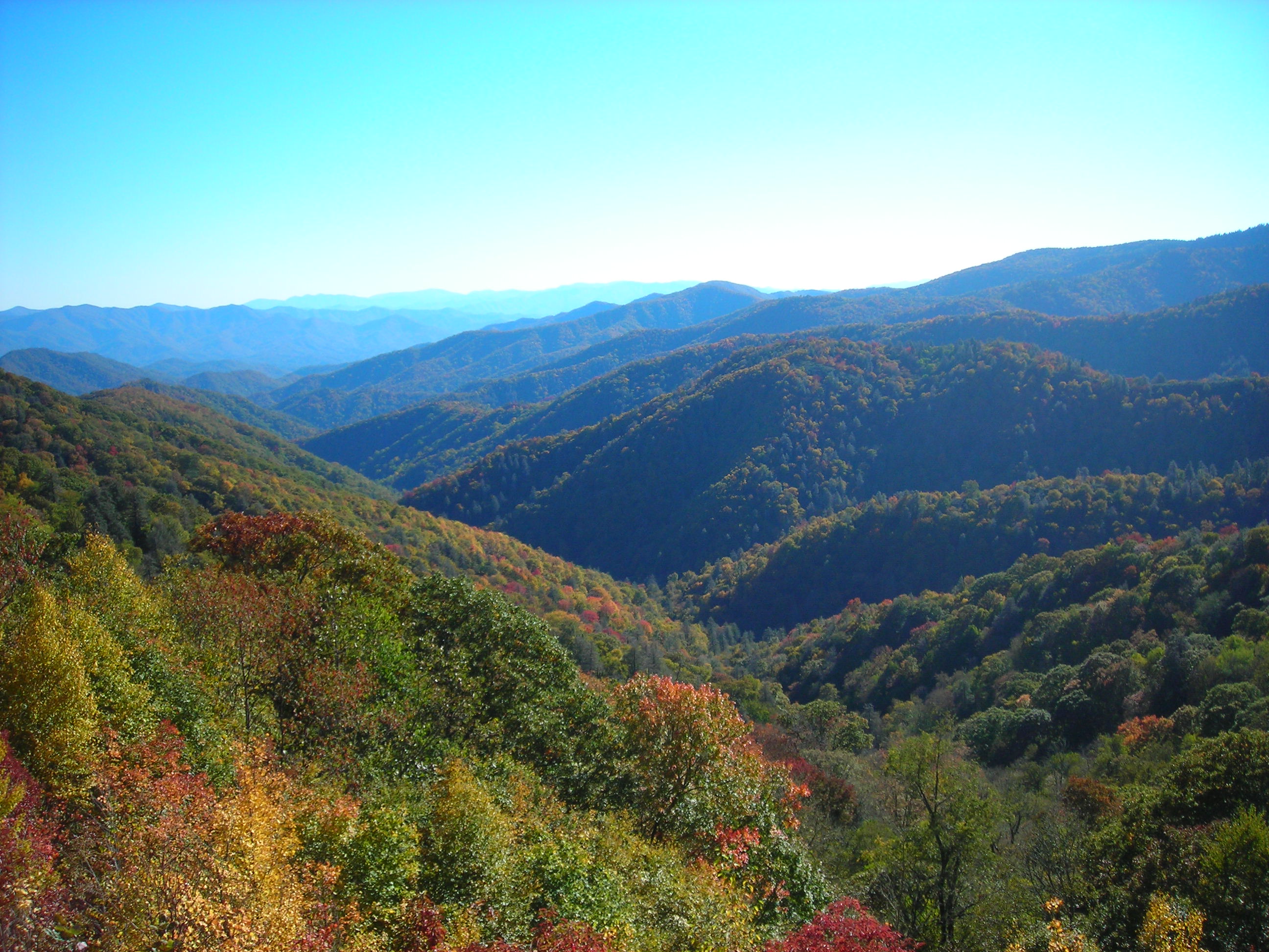 Fall at Oconaluftee Overlook