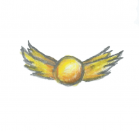 A Snitch escapes during a Quidditch game A Snitch escapes during a Quidditch game
