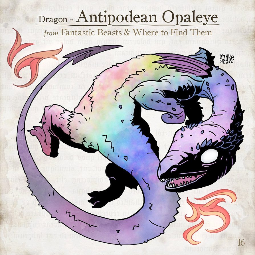 Antipodean Opaleye