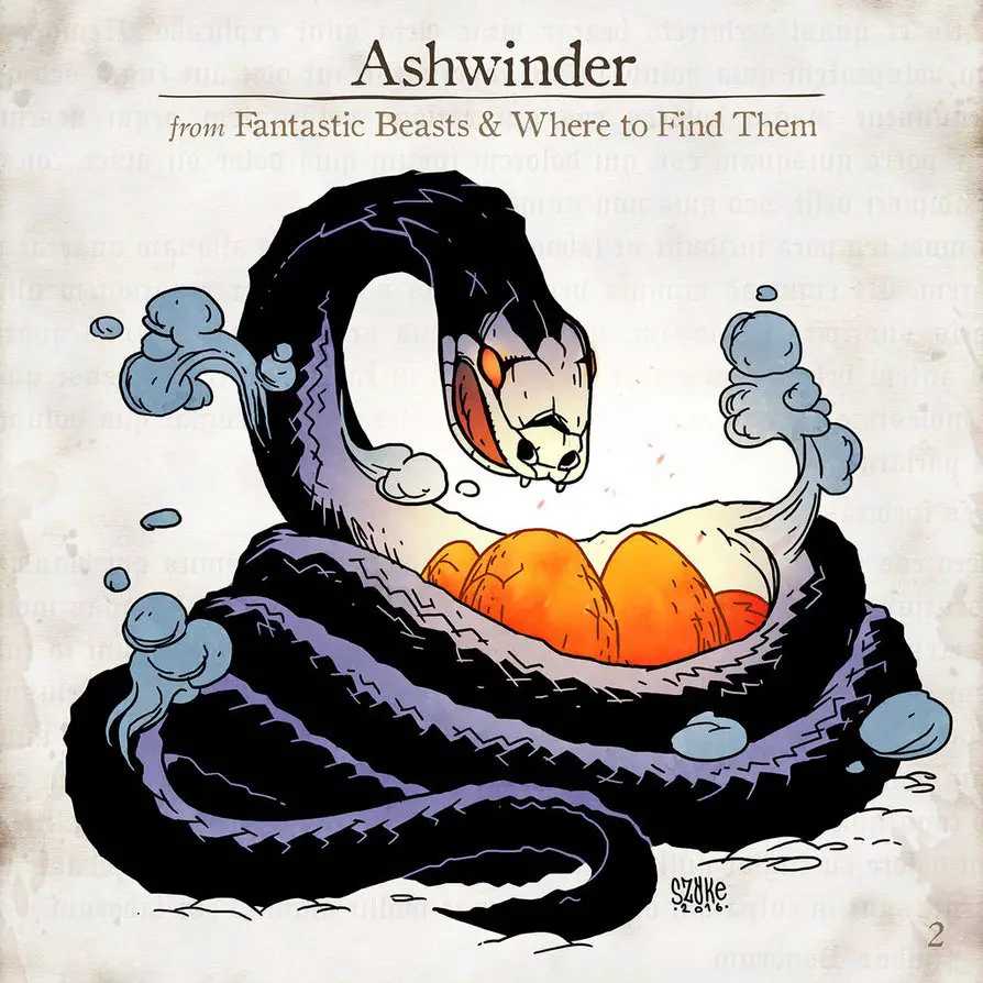 Ashwinder