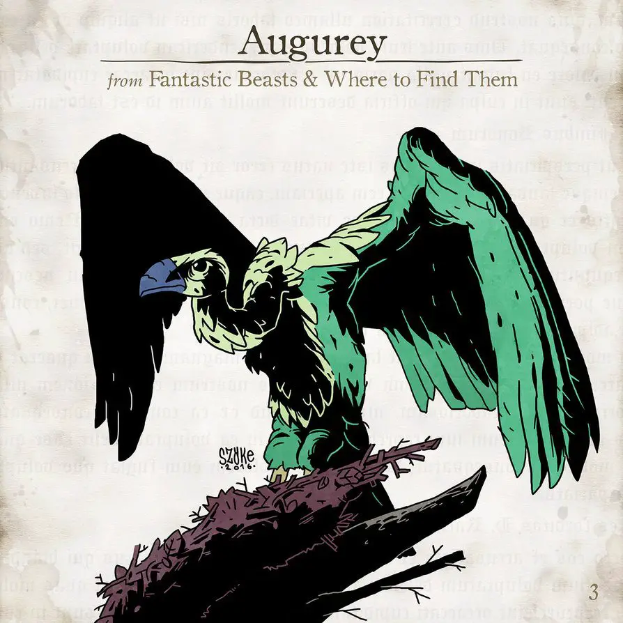 Augurey