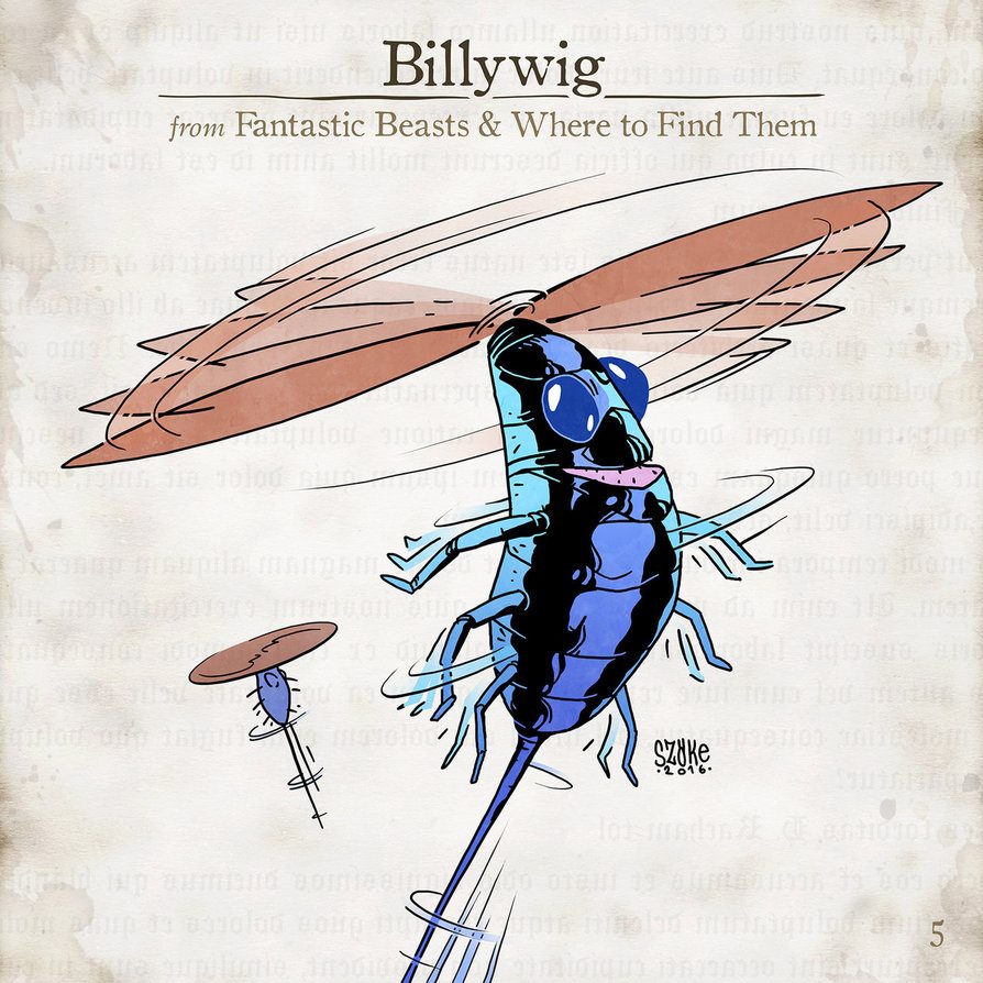 Billywig Billywig