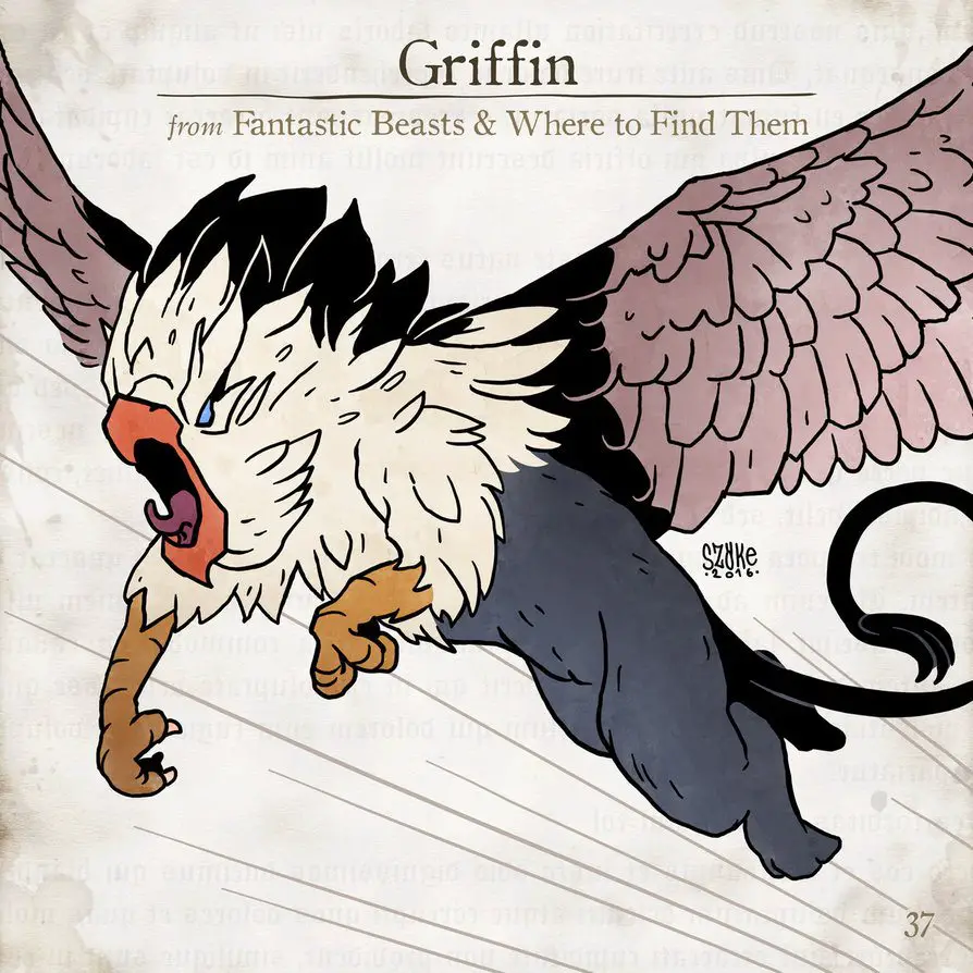 Griffin