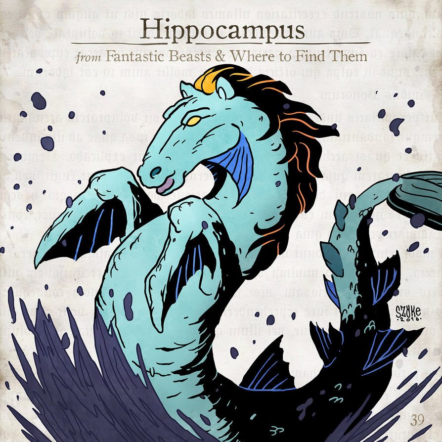 Hippocampus