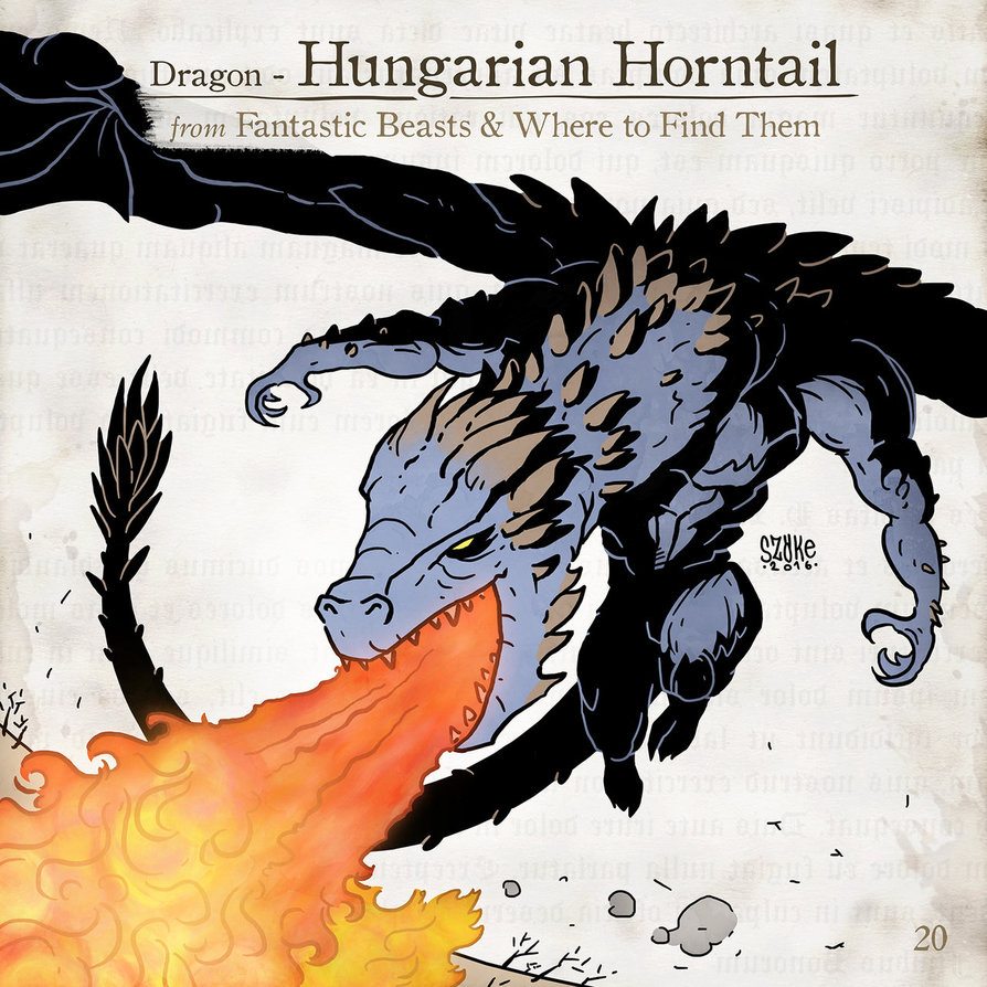 Hungarian Horntail