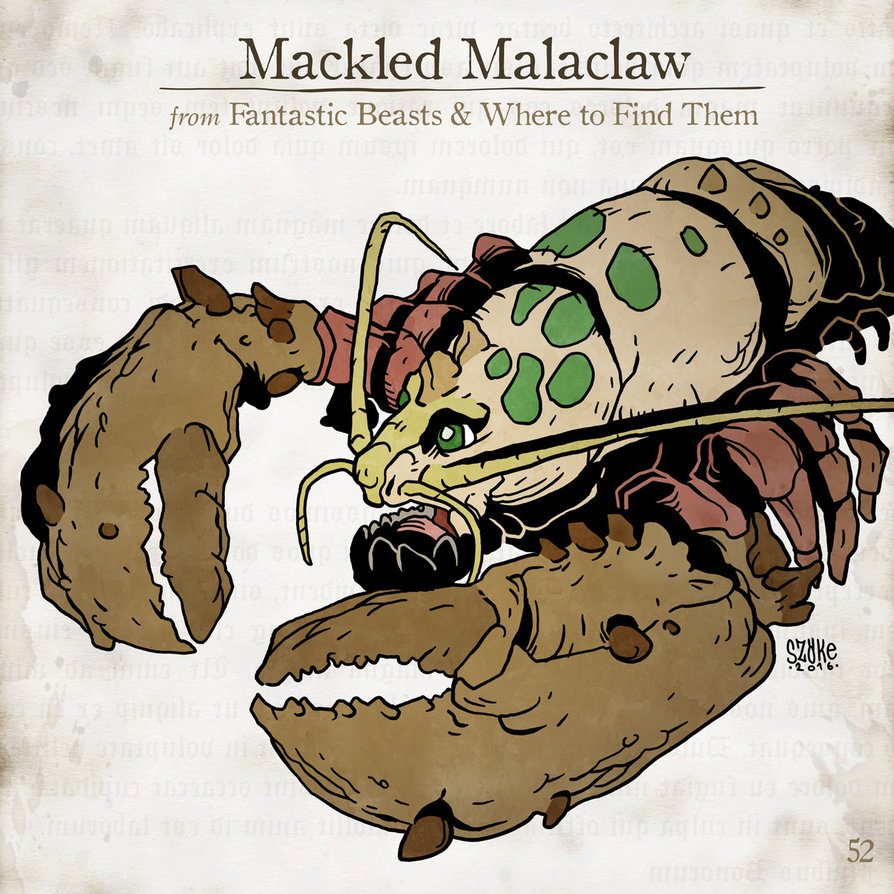 Mackled Malaclaw