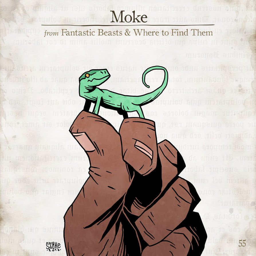 Moke Moke