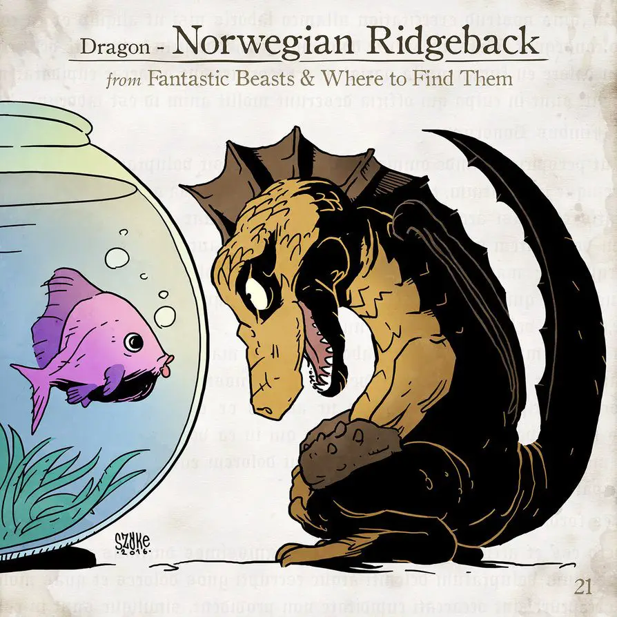 Norwegian Ridgeback